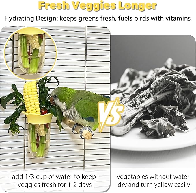 Bird Cage Feeder for Vegetable, Parrot Veggies Holder with Water-Storage Design to Keep Greens Fresh, No Mess Hanging Millet Feeder for Parakeet, Quick Clean Clip, No Spill Feeders for Parrots