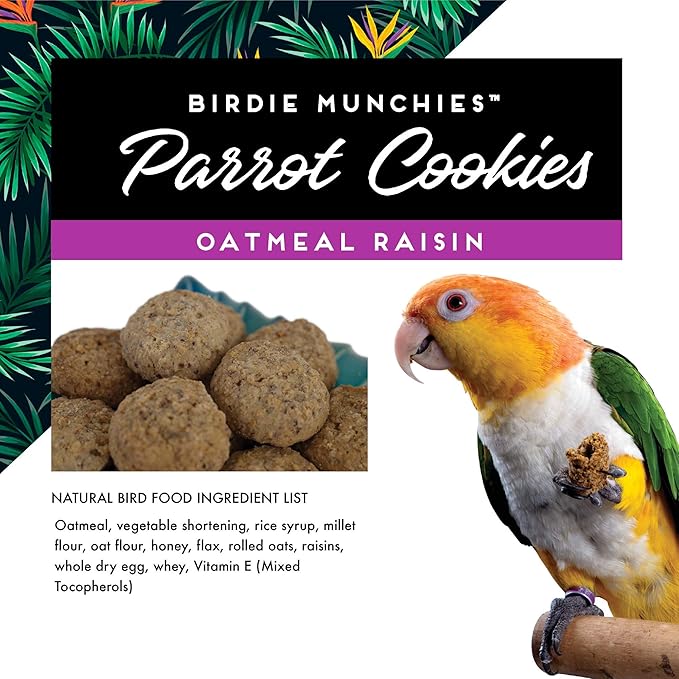 Oven Fresh Bites Baked Birdie Munchies Oatmeal Raisin Treats, 4 oz.