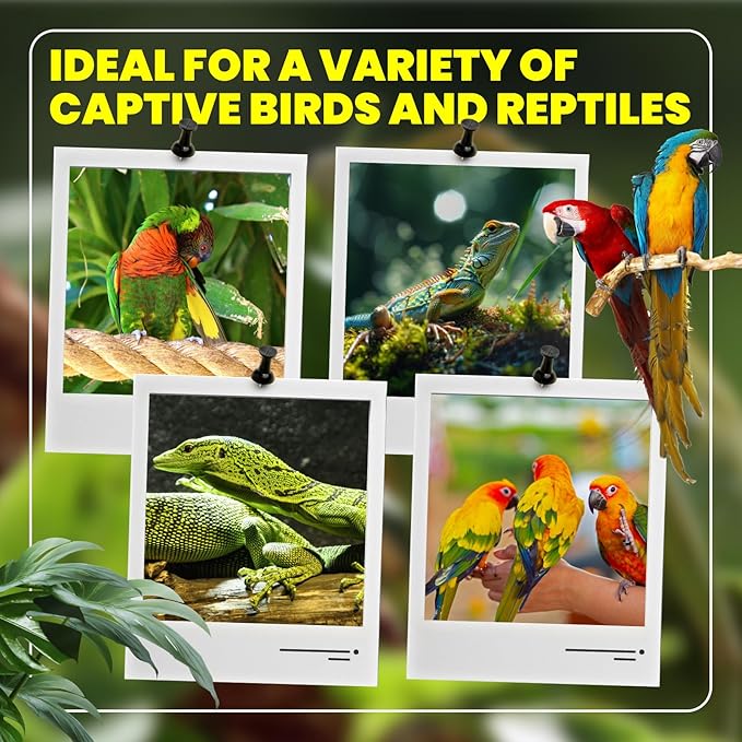 GlowUp 23W UVB Bulb for Bird, UVB 2.4 Compact Fluorescent Light Bulb E26 Birdcage Compact UVB 2.4 Lamp for Captive Birds and Reptiles
