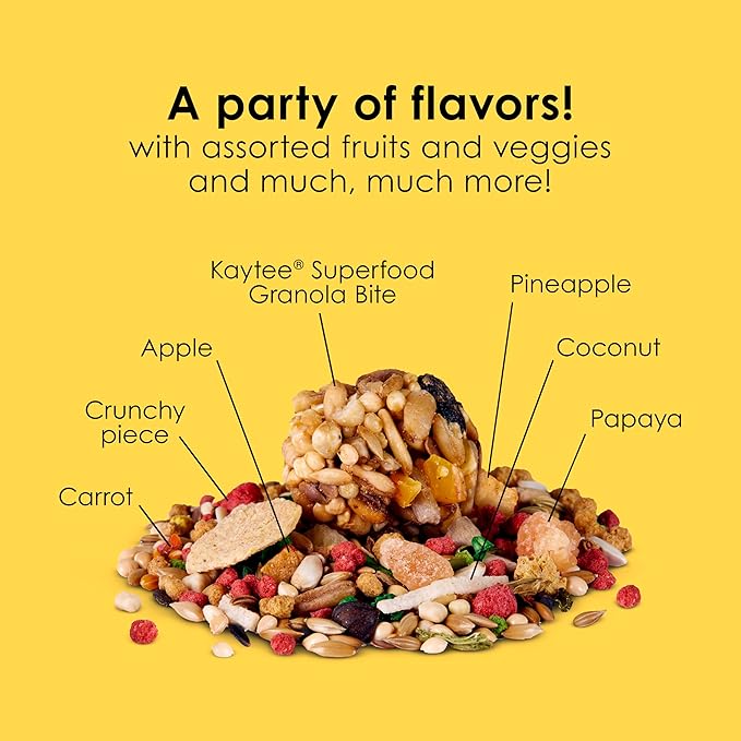 Kaytee Fiesta Parakeet Food,Nutritious and Fun Blend,Supports Skin,Feather,Digestion,Brain and Heart Health,2 pounds,(Pack of 2)