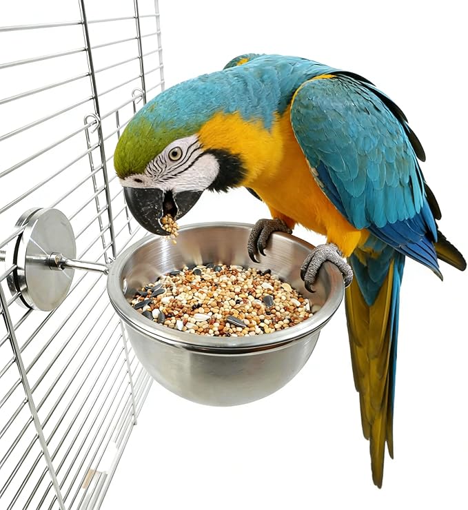 AOTU Anti Tip Stainless Steel Parrot Feeding Cups - Locking Bird Food & Water Bowls for Cage, Bird Cage Accessories for Cockatiel, Conure, Budgie, Macaw, Gray Parrot & Small Pets (L)