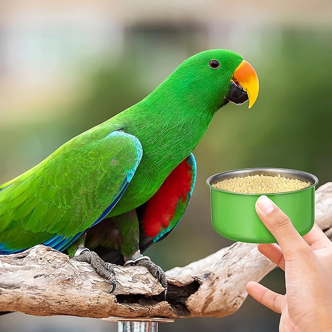 Parrot Feeder Bowl Stainless Steel Bird Hanging Bowls with Wire Hook Birds Food Water Storage Container Cage Cups Holder for Cockatiel Conure Parakeets