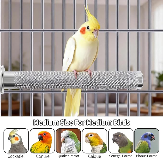 AOTU Large Bird Perch Stainless Steel Parrot Perches Bird Stand for Cage Durable Beak & Claw Trimming Grinding Perch for Birds Parrot Cage Accessory (L: 11.8" x 1.2")