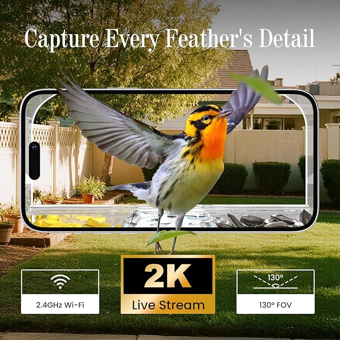 Smart Window Bird Feeder Camera with AI, Modern Design for Panoramic Views, 2K HD Live Feed, USB Powered & Secure Suction Mount - The Ultimate Tech Gift (Clear)