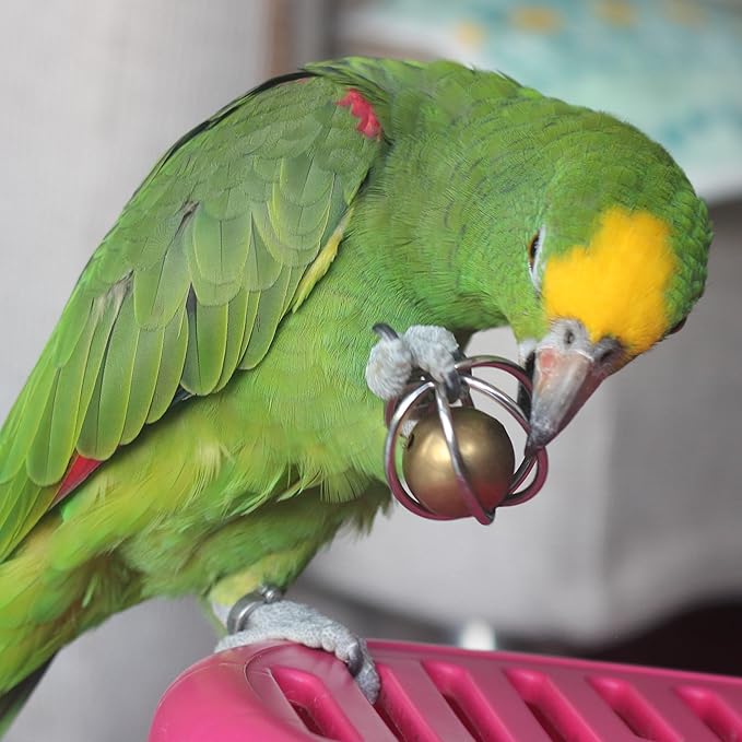 Fosrion Heavy Duty Stainless Steel Bird Toy for Large and Medium-Size Parrots - Chew-Proof Foraging Ball with Bell for Macaws, Cockatoos, African Greys (Large)