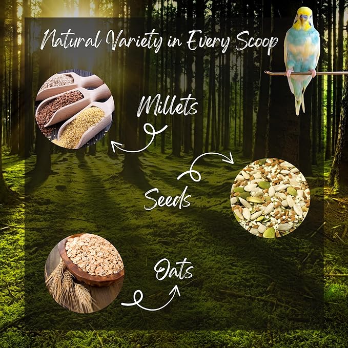 Danodia's Zoolulu Premium Cockatiel & Parrotlet Millet Mix (450g/1 lbs) | Premium Bird Food Blend for Cockatiels, Budgerigars, Parrotlets & Lovebirds | Daily Feeding Blend
