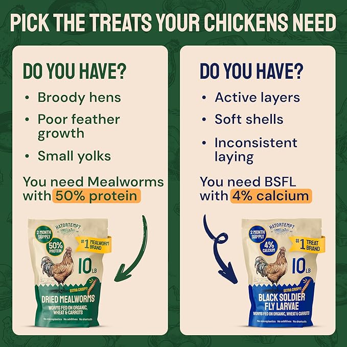 Hatortempt Bulk Dried Mealworms - 20 Lb Bag - Dried Mealworms for Chickens, Ducks & Wild Birds - High-Protein Chicken Feed & Bird Food