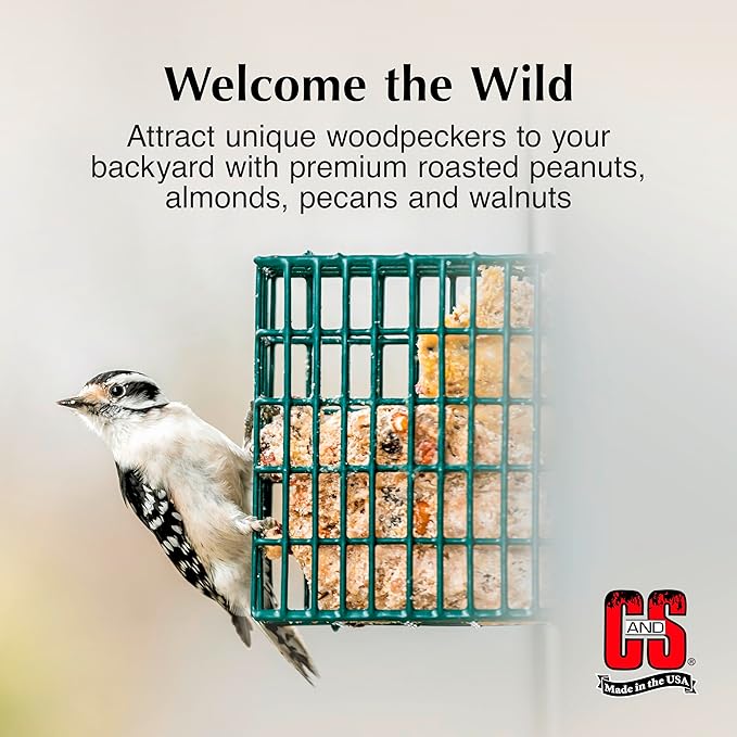C&S Woodpecker Suet Treat, Outdoor Wild Bird Food for Woodpeckers, Flickers and More, 8 Pack