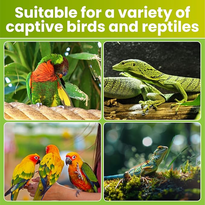 GlowUp 2.4% UVB Bulb for Birds, 20W Compact Fluorescent Light Bulb UVA UVB Light Bulbs E26 for Captive Birds and Reptiles
