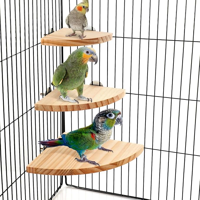 Wettarn 6 Pcs Bird Perch Platform Bird Corner Parrot Perch Corner Wooden Stand Sector Playground Cage Accessories Shelf for Parakeet Conure Cockatiel Budgie Gerbil Rat (Assorted Sizes,Platform)