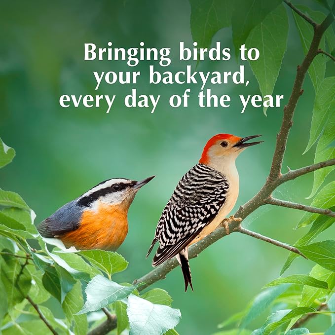C&S Party Mix Suet Treat, Suet Cakes for Wild Birds Including Robins, Blue Jays, Woodpeckers, Wrens, Bluebirds and More, 11 Ounces, Pack of 8