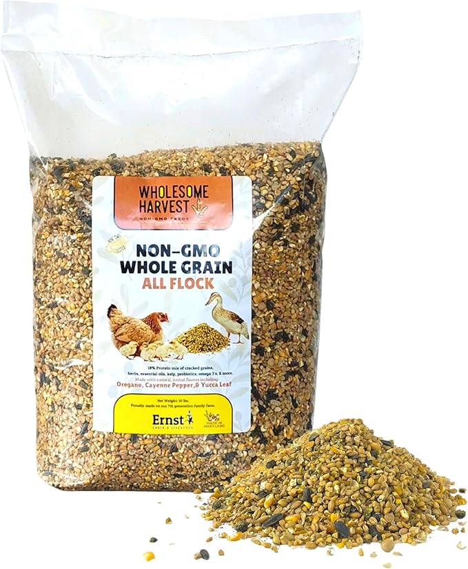 All Flock Feed, High Nutrition for Flocks, Non-GMO Duck, Turkey, Geese and Chicken, Whole Grain 10 lbs Pack