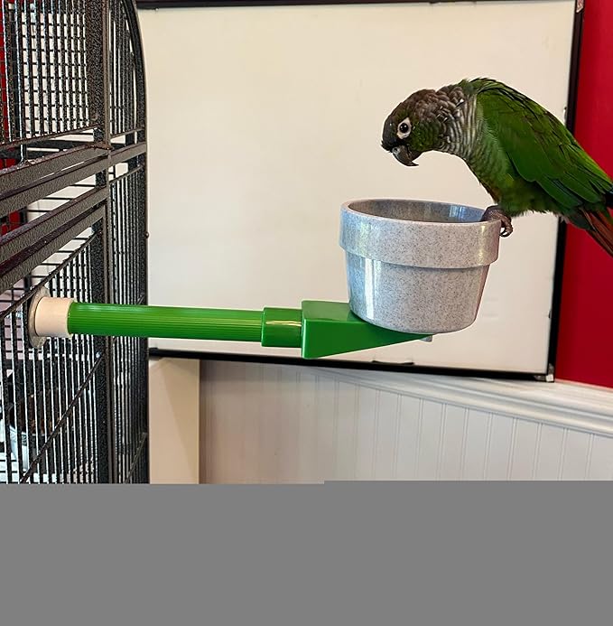 Polly's Mess Less Cups for Your Bird cage-Recommended for All Types of Birds Including Parakeets, Cockatiels, Parrots, Macaws, Cockatoos and More! (Small Short (11" x 3/4"))