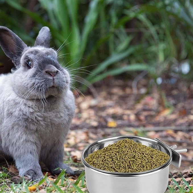 Hypeety Stainless Steel Food Water Bowl for Pet Bird Crates Cages Coop Dog Cat Parrot Bird Rabbit Pet 2PCS (Medium,4.7 * 2.1in)