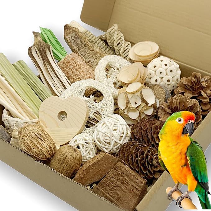 40PCS Natural Foraging & Chew Parrot Toy,Shredding Box for Parakeets, Cockatiels, Conures & Lovebirds and Other Small to Medium Birds (Large)
