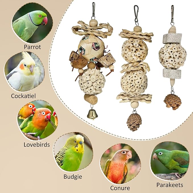 BNOSDM Hanging Bird Toy Sola Balls 3PCS Parrot Shredder Balls Natural Parakeet Foraging Toy Wood Bird Cage Chew Toys for Cockatiel, Budgie, Sun Conure, Quakers, Lovebirds (A)