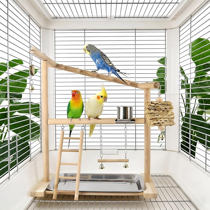 Small Bird Playground Stand, Natural Wood Parrot Stand Playground with Removable Tray, Feeder Cups, Ladder, Swing & Chew Toys for Cockatiel, Conure, Parakeet