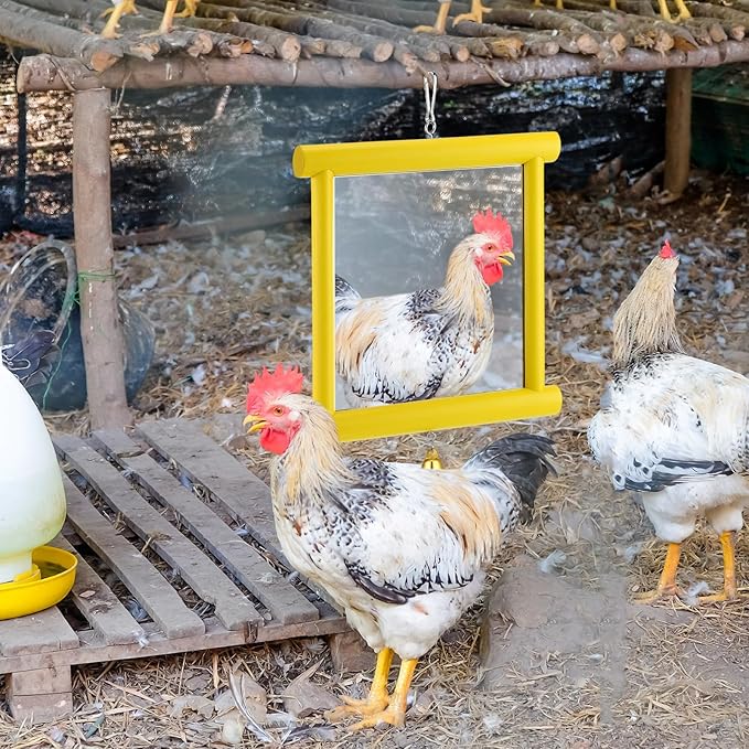 Sadnyy 2 Pcs Chicken Mirror Toys Extra Large 10.6 x 10 Inch Big Hanging Swing Double Side Mirror with Bell Wooden Pecking Toy for Hens Birds Parrots Coop Roosters (Square, Yellow & Rose Red)