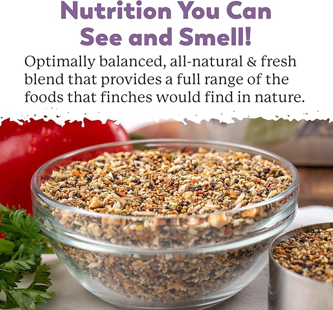 Dr. Harvey’s Fabulous Finch Food for Outside Feeder and Indoor Birds- Premium Bird Feed with Seeds, Nuts, Fruits, Vegetables for Finches (4 Pounds)