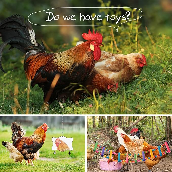 Chicken Toys for Coop 9PCS Set, KAKUNM Chicken Enrichment Toys, Including Xylophone, Swing, Chicken Mirror, Chicken Flexible Ladder, Vegetable String Bag and Hanging Feeder Coop Toy Accessories