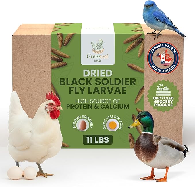 Black Soldier Fly Larvae for Chickens & Ducks – 11lb Dried Worms & Grubs – High Protein & Calcium Mealworms Alternative | Dried Black Fly Larvae for Chickens Bulk – Non-GMO, Farmed in North America