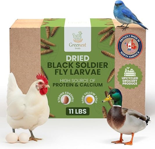 Black Soldier Fly Larvae for Chickens & Ducks – 11lb Dried Worms & Grubs – High Protein & Calcium Mealworms Alternative | Dried Black Fly Larvae for Chickens Bulk – Non-GMO, Farmed in North America