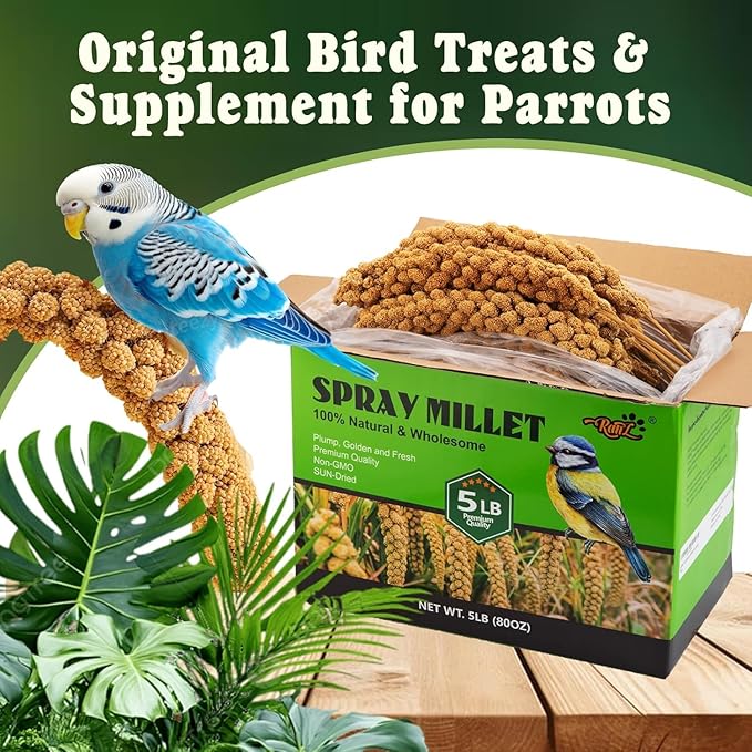 RANZ 5LBS Spray Millet Treat for Pet Birds, Hand-Harvested Bird Snack, Natural Sun-Dried Millet Spray for Parakeets, Parrots, Cockatiels, Lovebirds, Budgies, Finches, Canaries