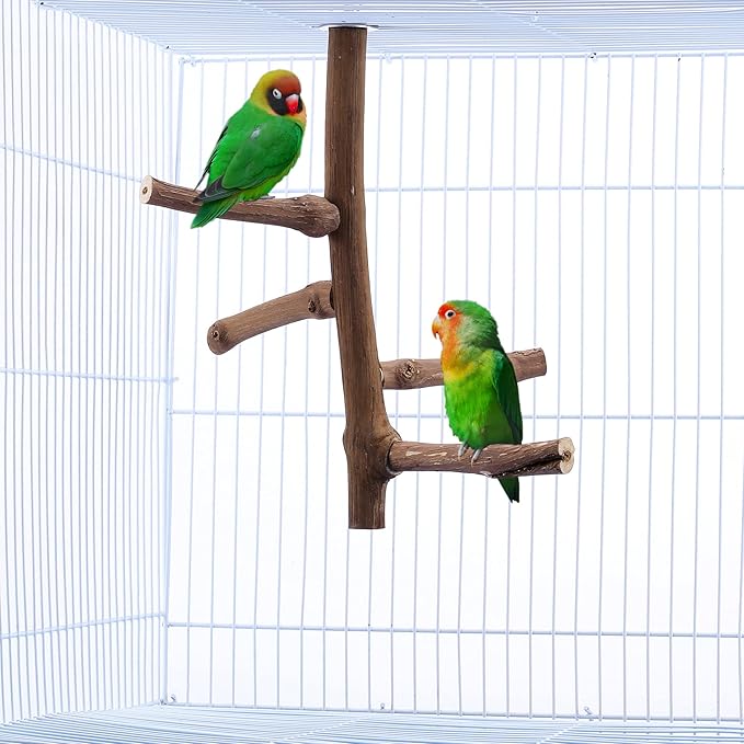 CozyCabin Natural Bird Perch Stand for Cage, Hanging Multi Branch Grapevine Parrot Perch Bird Cage Toys for Small Budgies Conure Parrot Parakeets Cockatiels Lovebirds