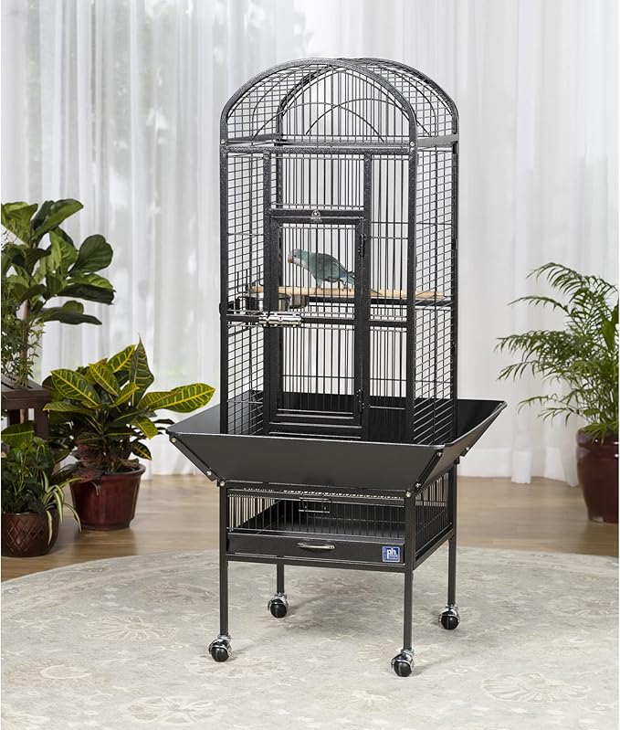 Prevue Pet Products Dome Top Bird Cage - Powder‑Coated Steel Cage with Wheels, Push Button Locks, Seed Guards and Perch, Ideal for Cockatiels, and All Small-Medium Sized Birds - Black Hammertone