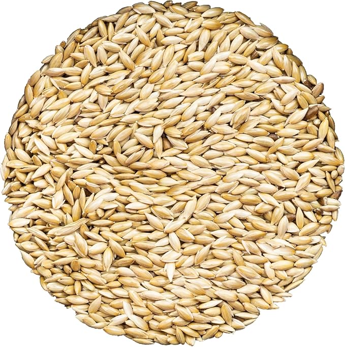 Unida Alpiste Canary Seed | 100% Pure, Natural & Non-GMO Bird Food for Canaries, Finches, Budgies & Parakeets | Double Cleaned Bird Seed, 5 lbs