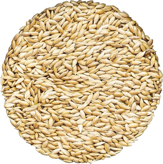 Unida Alpiste Canary Seed | 100% Pure, Natural & Non-GMO Bird Food for Canaries, Finches, Budgies & Parakeets | Double Cleaned Bird Seed, 5 lbs