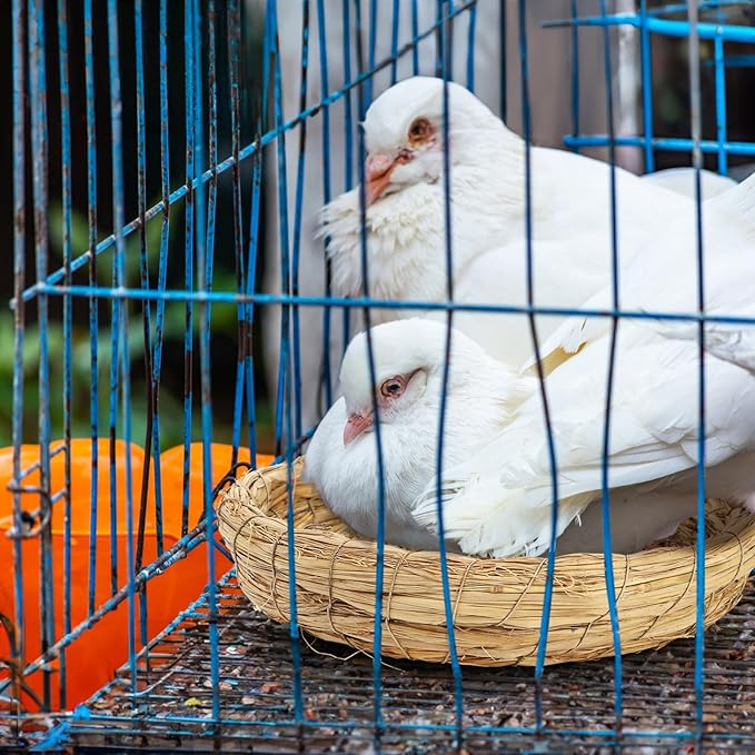 Eorbow 6 Packs Woven Straw Bird Nests, 8" Handmade Flat Base Spawning Nest, Small Animal Breeding Bed Hatch House Cage Accessories for Dove Pigeon Parrot Cuckoo Sparrow Rabbits Chinchillas Hamster
