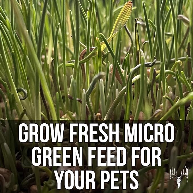 Crooked Bend Mother Fodder Blend, 12LB EcoPack, Grain Seeds for Bird Food & Growing Fresh Green Grass Sprouts to Feed Pet Rabbits, Cows, Horse, Chicken, Goat, Sheep, Quail, Dog, Cat, Duck & Tortoise