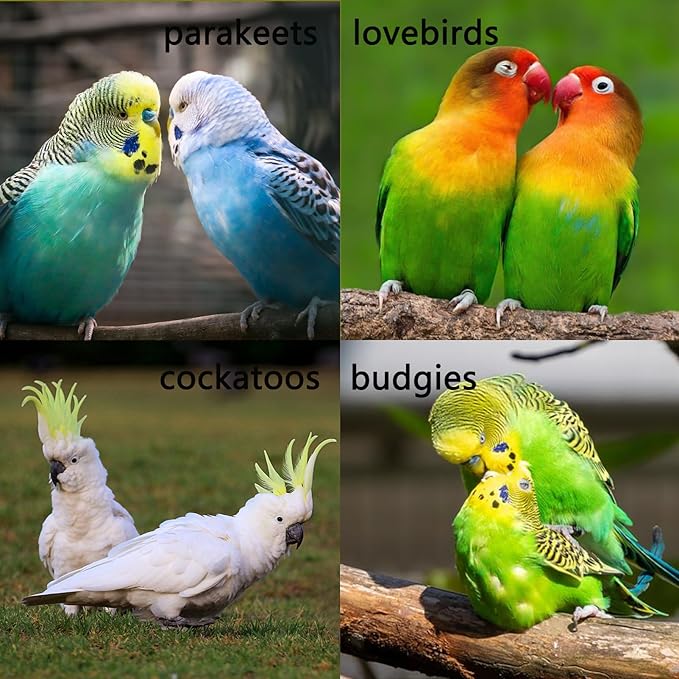 Stainless Steel Bird Ladders 9-Step Parrot Ladder Hanging Bird Cage Climbing Toys with Hooks Birds Exercise Toy for Parakeets, Parrots, Cockatoo，Rust-Resistant and Easy to Clean (1 PCS)