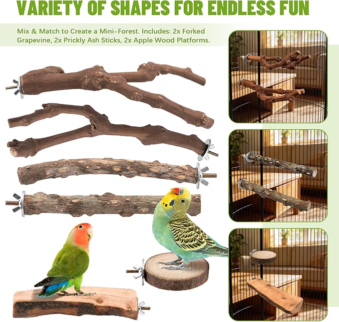 6-Piece Natural Wood Bird Perch Set - Forked Grapevine Branches, Prickly Ash Sticks & Apple Wood Platforms - Habitat Standing Accessories for Parakeets, Cockatiels, Conures, Budgies