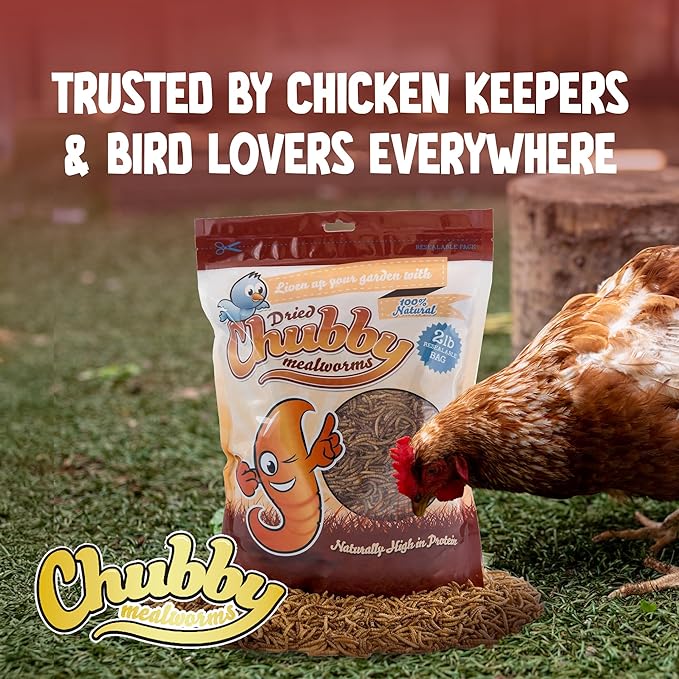 Chubby Dried Mealworms 7 lbs High-Protein Non-GMO Treats for Chickens, Ducks, Wild Birds, Reptiles, Bearded Dragons, Geckos, Sugar Gliders & Backyard Pets