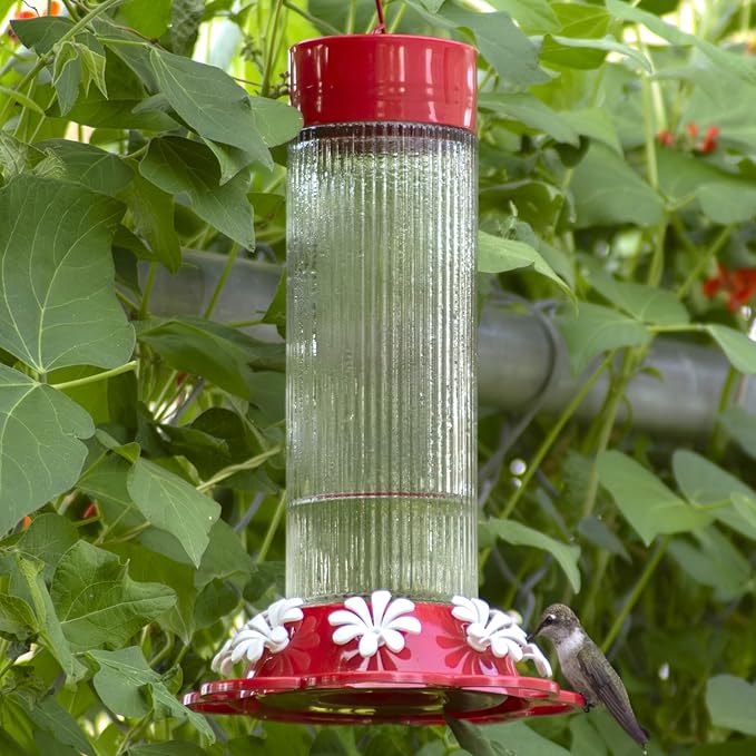 Nature's Way Hanging Glass Hummingbird Feeder for Outdoor Décor, 28 Ounce Capacity Nectar Feeder, Ant Moat, 7 Easy to Clean Flexible Ports, Red