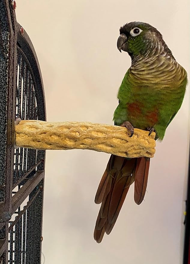 Polly's Beach Sands Nail Trimming Bird Cage Perch for Parakeets, Cockatiels, Amazons, Grays, Cockatoos, Macaws, eclectus and Many Other Birds (Small, Brown)