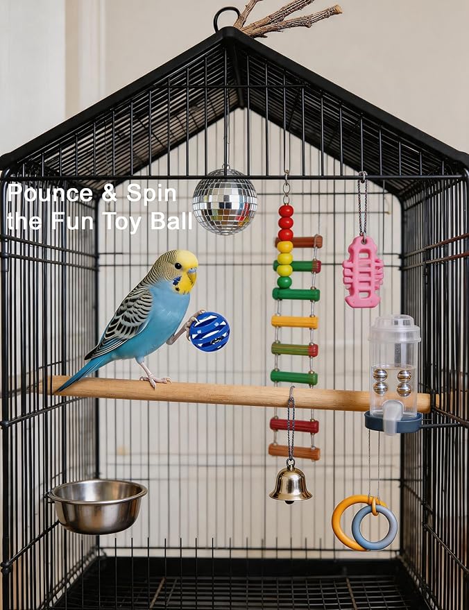 5-Pack Bird Toys for Parrots, Parakeets - Colorful, Safe, Fun for Big & Small Birds, Chase Toys Wildly (1.5'' - 2.8'')