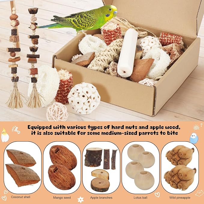 Bird Toys Parrot Natural Foraging Box Parakeet Toys DIY Hanging String for Cockatiels,Conures,Love Birds,and Other Small to Medium Birds Cage Accessories (Medium)