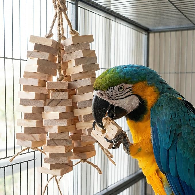 NOLITOY 100pcs Bird Toy Parts, 1.18" Natural Wood Cubes - DIY Parrot Toy Making Kit & Chewing Blocks Bulk Refill - Soft Wood Squares for Cockatoos African Greys Eclectus Medium Birds