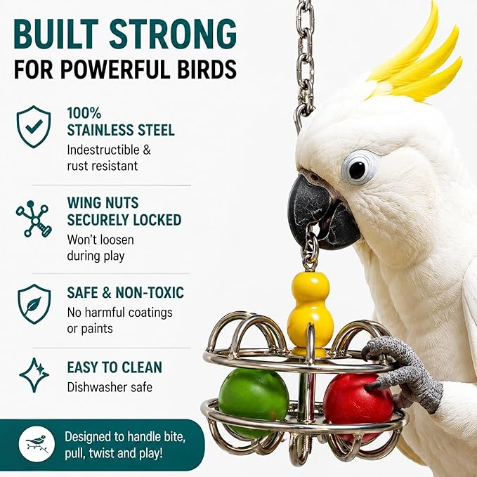 Bird Toys for Large Birds (Impossiball) Stainless Steel Foraging Treat Dispenser for Macaws, Cockatoos, Parakeets & Parrots | Durable Cage Accessory for Enrichment & Mental Stimulation