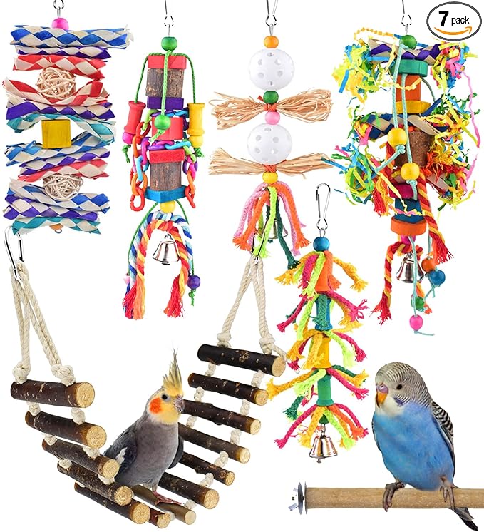 KATUMO Bird Toys, Parakeet Swing Parrot Ladder Cockatiel Perch Conure Hanging Bell Toys for Parakeet Conure Cockatiel Mynah Love Bird Small Birds