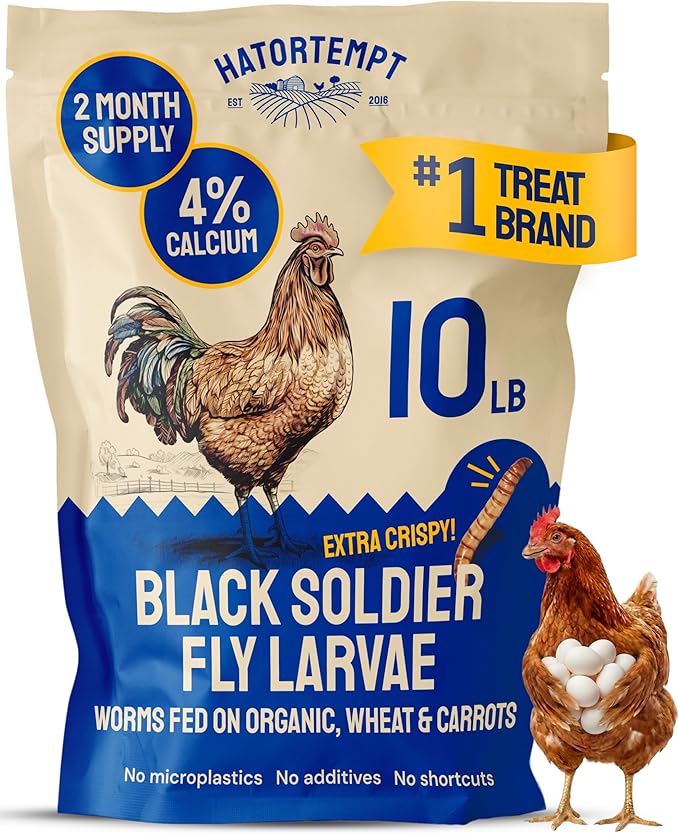 Hatortempt 10lbs Black Soldier Fly Larvae for Chickens - 114X More Calcium Than Mealworms for Chickens - High Protein Worms - Feed Treats for Laying Hens, Quails and Ducks