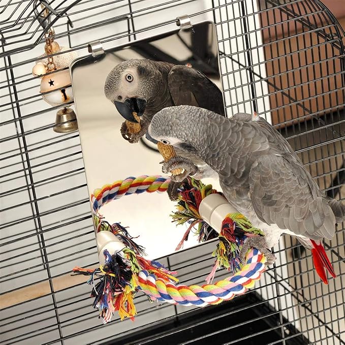 Colorday 9" Bird Mirror for cage with Rope Perch, Bird Swing, Parrot Cage Toy for Parakeet Budgie African Grey Conure Cockatiel Lovebird Finch Canarie, Large