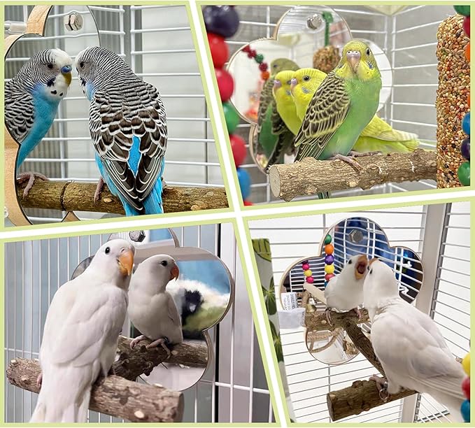 Bird Mirror with Perch Stand InteractiveToys Cage Accessories for Pet Parrot Budgies Cockatiels Conure Lovebird Finch Canaries and Other Small Birds (Flower Shape)