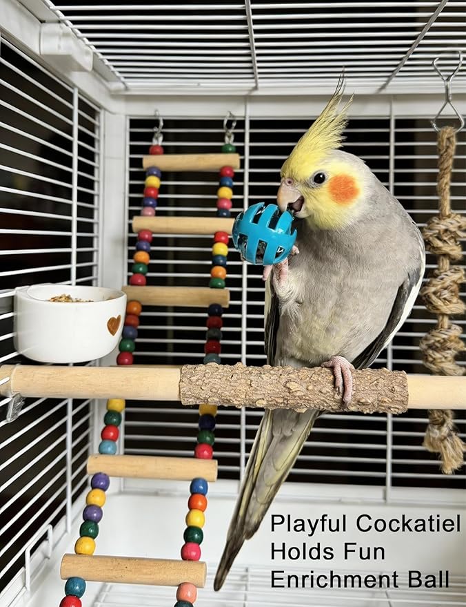 12 Pcs Bird Toys Colorful Chew Ball Toys with Bells for Small Medium Pet Birds Parakeets Cockatiels
