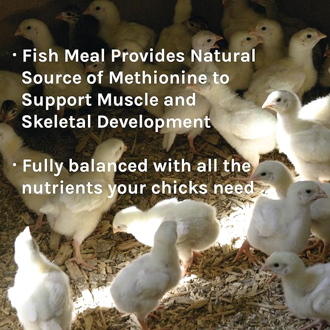 New Country Organics | Starter Feed for Baby Chicks | Soy-Free | 21% Protein | Certified Organic and Non-GMO | 40 lbs