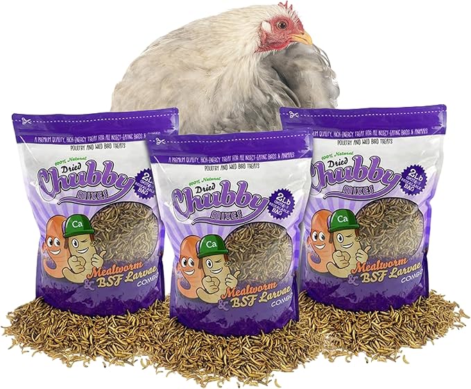 Chubby Mix Mealworm & Black Soldier Fly Larvae | 6 lbs | Non-GMO High-Protein Dried Insects for Chickens, Ducks & Wild Birds – Calcium-Rich Chicken Treats