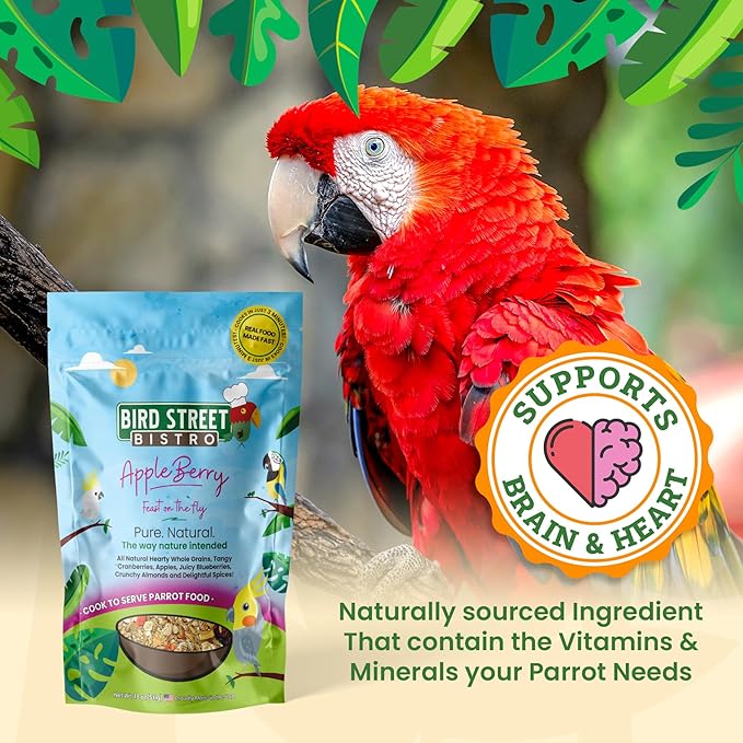 Bird Street Bistro Parrot Food - Parakeet & Cockatiel Food - Cooks in 3-15 min with Natural Grains, Legumes, Non-GMO Fruits, Vegetables & Health-Oriented Spices